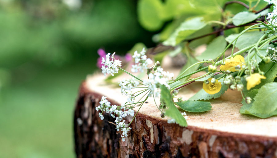 Mittsommer in Jokkmokk