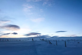 Mit Schneeschuhen in Nikkaluokta